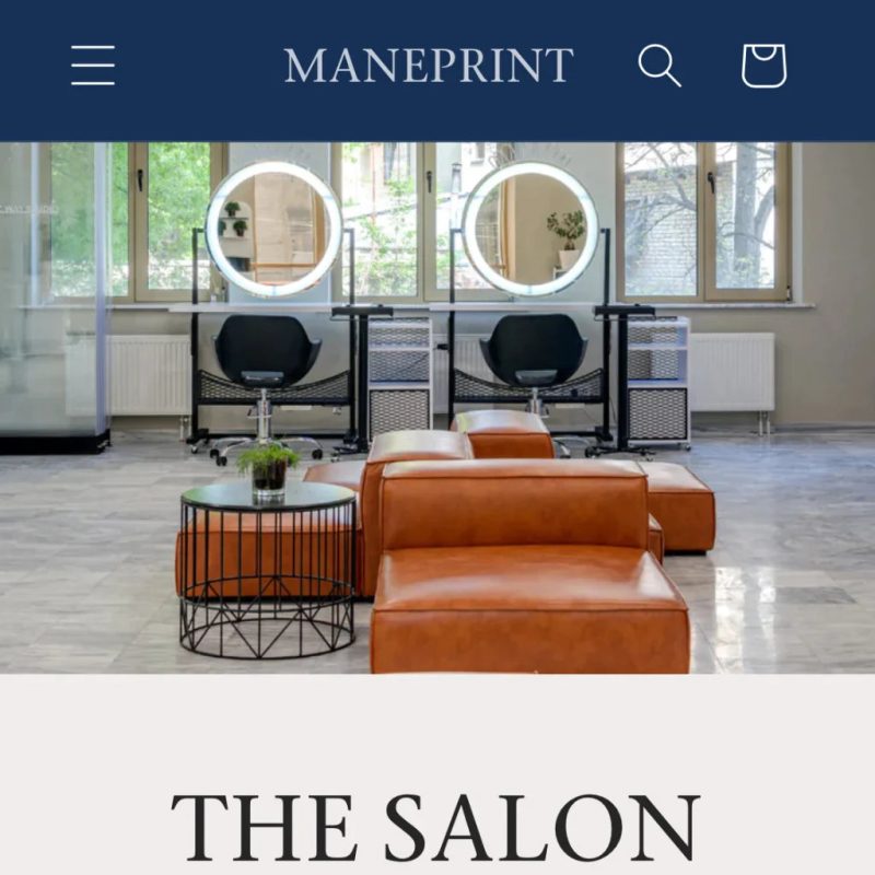 The Salon 48fa7141 1134 4b86 a601 7a8cf05da413