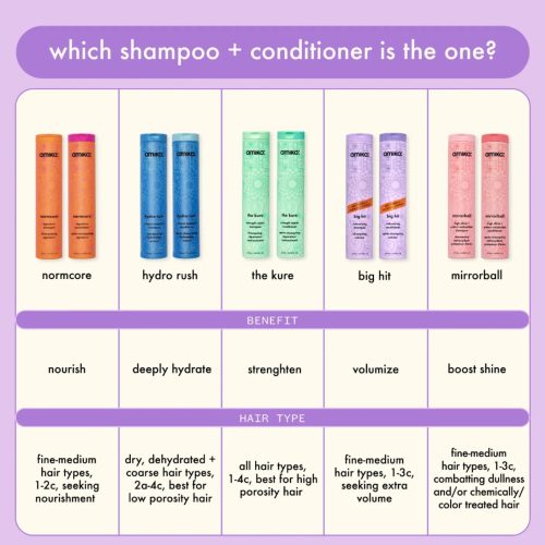 amikabighitshampoo conditioner 2